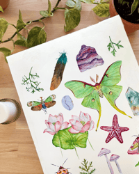 Image 2 of Pisces Nature Chart PRINT