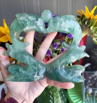 Image 2 of Fluorite Dolphins