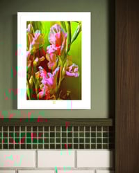 Image 2 of GLAD YOU'RE GLAD (24X18)
