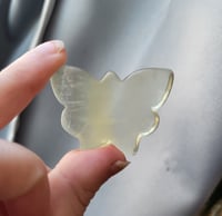 Image 4 of Fluorite Butterflies