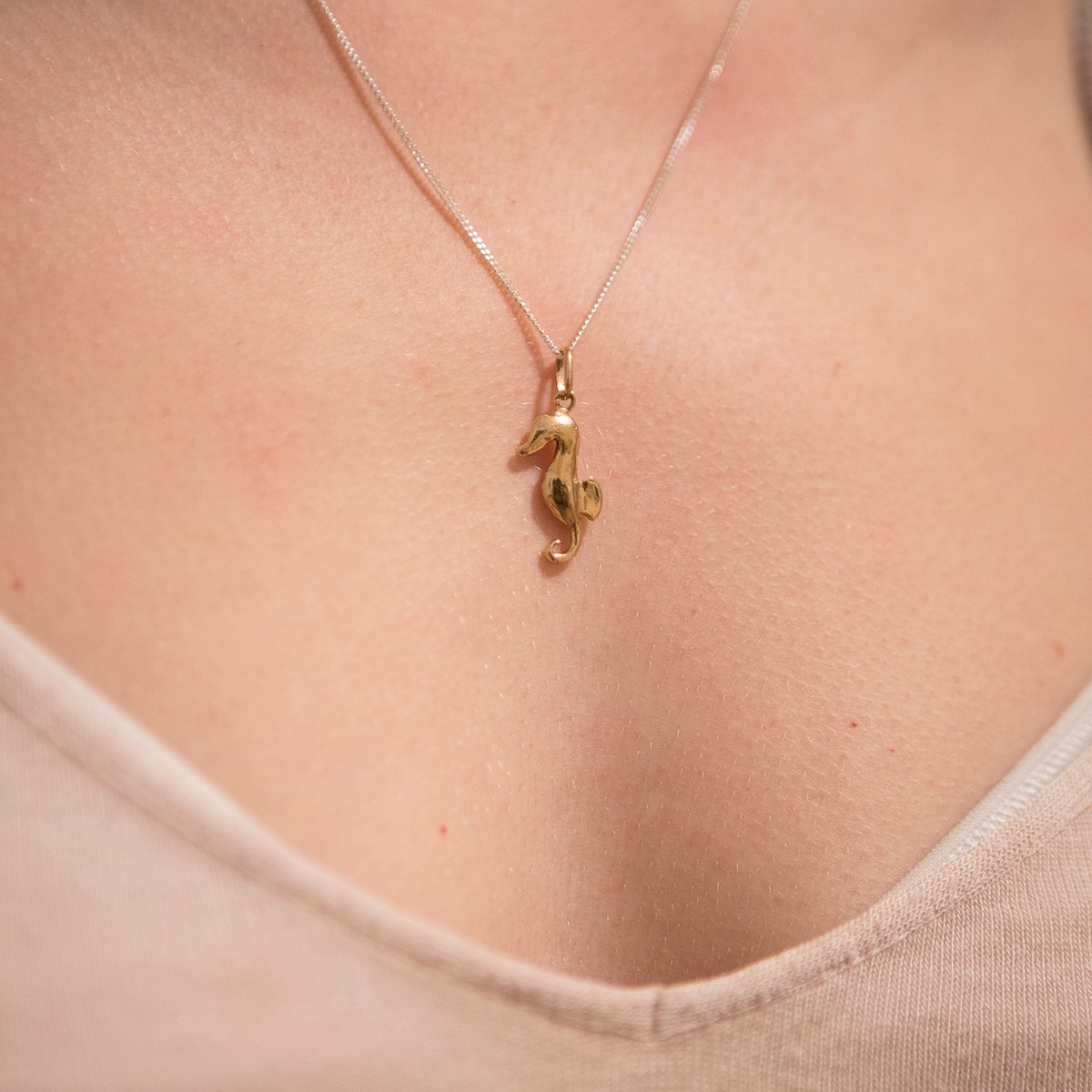 Image of Cavalluccio Marino