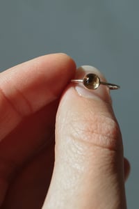 Image 5 of The Glory Ring