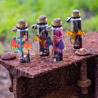 Image 10 of Dragon 3D - Message in a Bottle