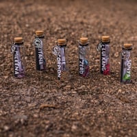 Image 4 of Mortal Kombat - Mesage in a Bottle