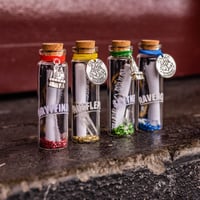 Image 1 of HP Houses - Message in a Bottle