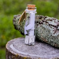 Image 3 of HP Owl - Message in a Bottle
