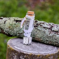 Image 5 of HP Owl - Message in a Bottle