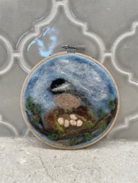 Image 1 of Chickadee nest