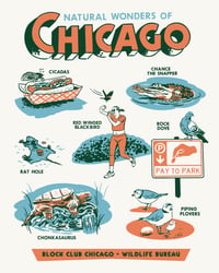 Natural Wonders of Chicago