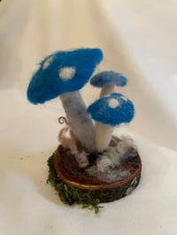 Image 1 of Feeling Blue