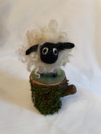 Image 1 of Sheepish