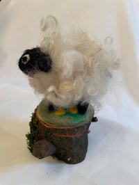 Image 2 of Sheepish