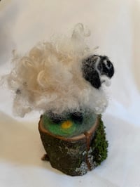 Image 3 of Sheepish