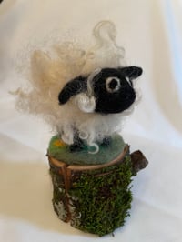 Image 4 of Sheepish