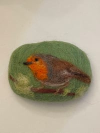 Image 1 of Curious Robin