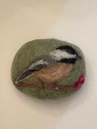 Image 1 of Chickadee