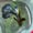 Image of Super Green Dragon Halfmoon