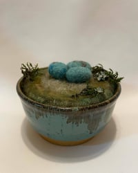Image 1 of Robins Nest in Pottery bowl