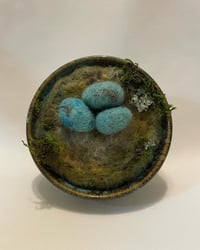 Image 2 of Robins Nest in Pottery bowl