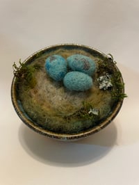 Image 3 of Robins Nest in Pottery bowl