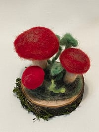 Image 2 of Red Mushrooms