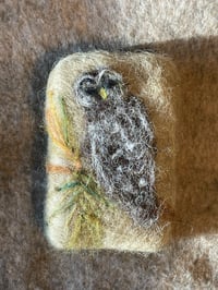 Image 1 of Barred Owl in the pine tree