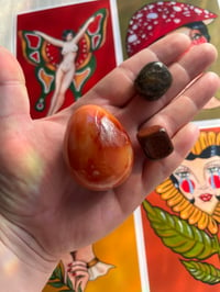 Image 2 of The carnelian egg bundle