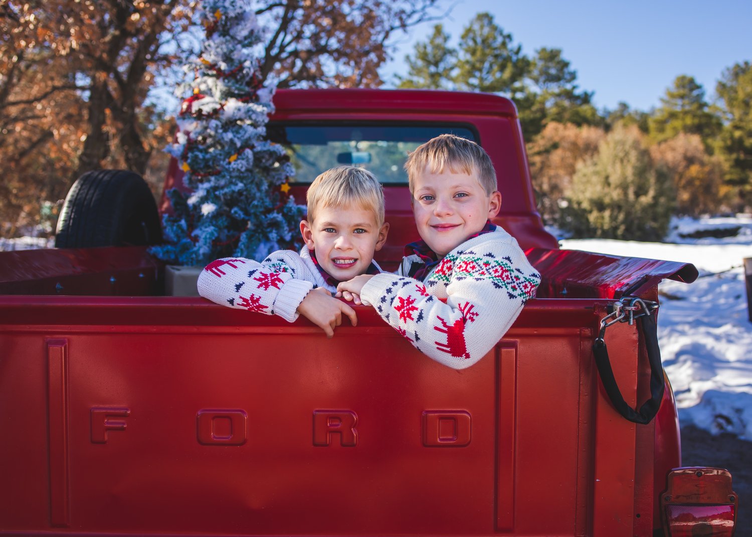 Image of Red truck micro  Mini