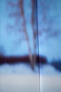 Image 3 of Austmarka (twins)