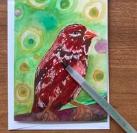 Image 2 of Little Red Finch  Bird Greeting Card