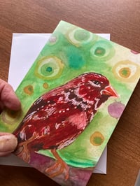 Image 3 of Little Red Finch  Bird Greeting Card