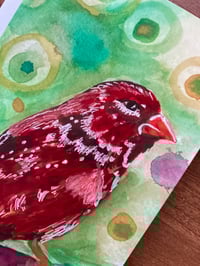 Image 4 of Little Red Finch  Bird Greeting Card