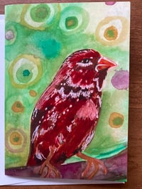 Image 1 of Little Red Finch  Bird Greeting Card
