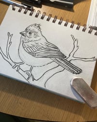 Image 3 of Bird Greeting Card...OakTit Mouse