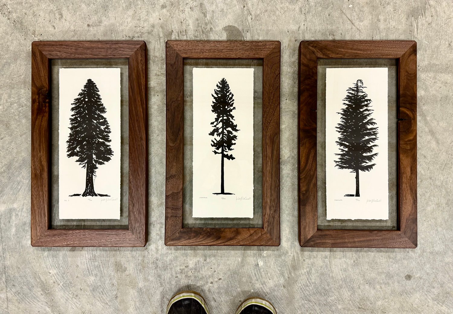 Tree Trio Framed in Salvaged Black Walnut