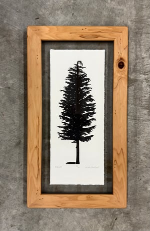 Hemlock Framed in Salvaged Hemlock