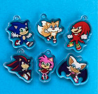 Image 1 of Speedy Hedgehog Acrylic Charms