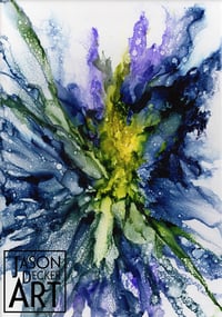 Iris