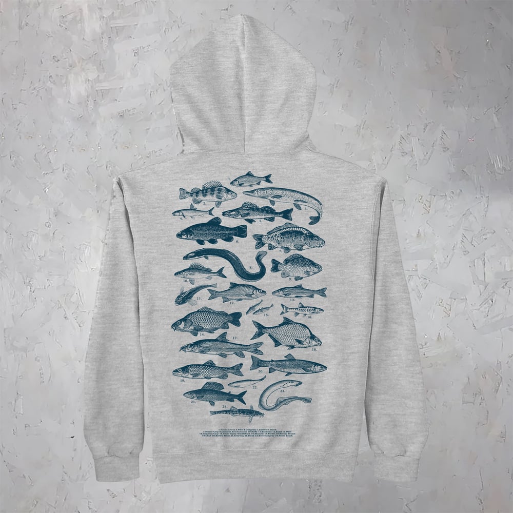 Image of Freshwater Fishes Hoodie - Ash Grey