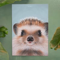 Image 2 of Little hedgehog | Poster