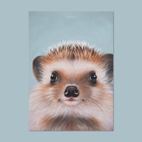 Image 1 of Little hedgehog | Poster