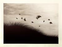 Image 1 of Soaring - Gold Leaf AP 1/3