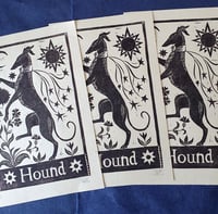 Image 4 of Hound