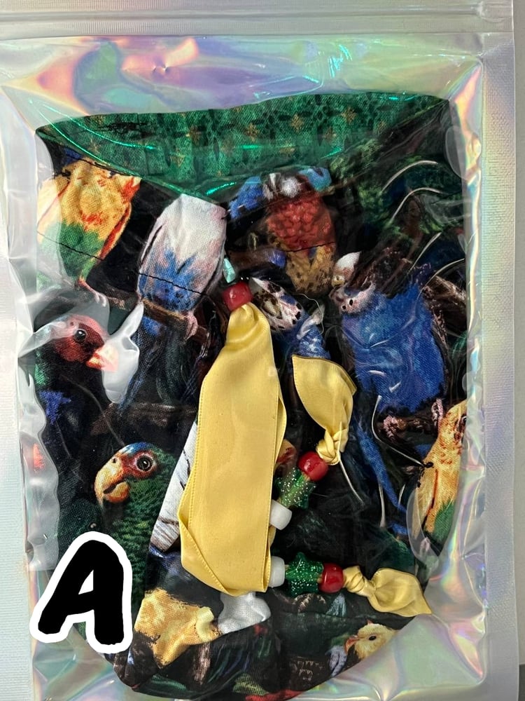 Image of Dice Bag - Parrots