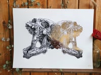 Image 1 of - Mirror jaw -