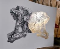 Image 2 of - Mirror jaw -