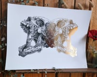 Image 3 of - Mirror jaw -