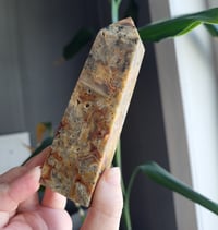 Image 2 of Crazy Lace Agate Tower