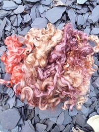 Image 1 of Curls E
