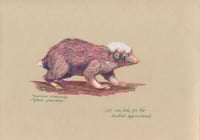 Image 1 of Carl the stink badger